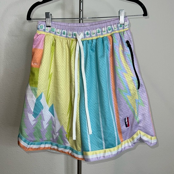 Who Cares? X Trillest What The Pastel Swingman Basketball Shorts - Picture 1 of 3